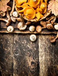 Similar image 15919962