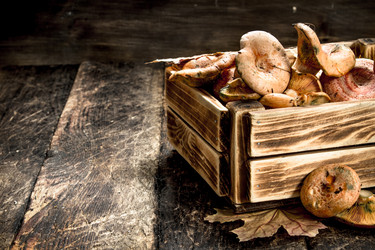 Similar image 15920059