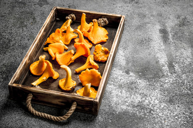 Similar image 15920081