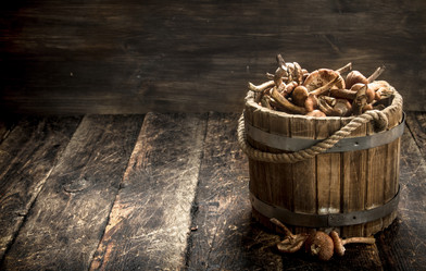 Similar image 15920102