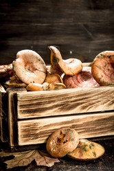 Similar image 15920118