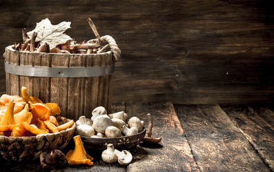 Similar image 15920145