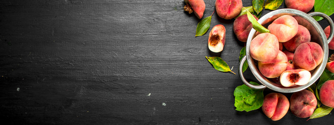 Similar image 15920769