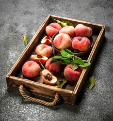 Similar image 15920917