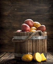 Similar image 15917097