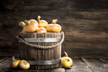 Similar image 15917126