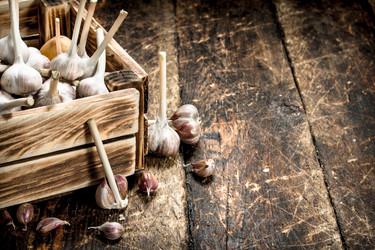 Similar image 15918177