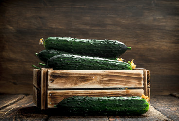 Similar image 15918225