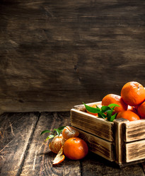 Similar image 15922313