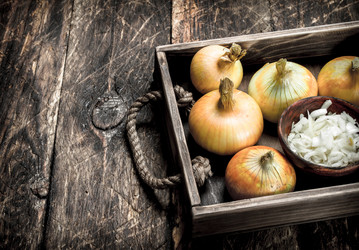 Similar image 15923687