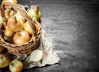 Similar image 15923821