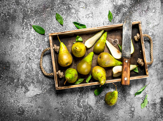 Similar image 15916090