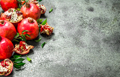 Similar image 15918070