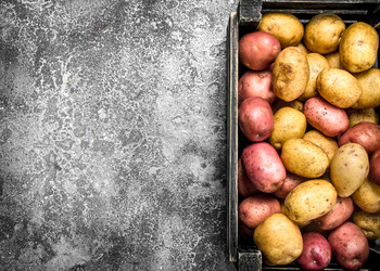 Similar image 15918409