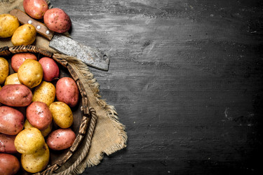 Similar image 15919925