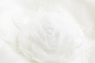 Similar image 16223315