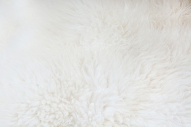 Similar image 16223316