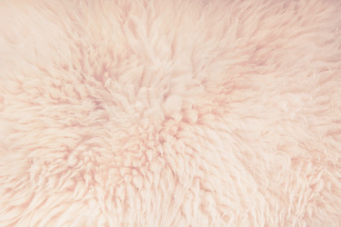 Similar image 16308743