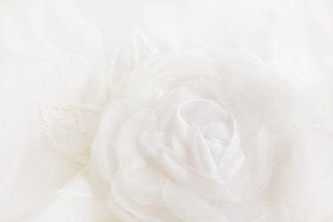 Similar image 16223344