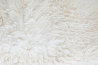 Similar image 16223360