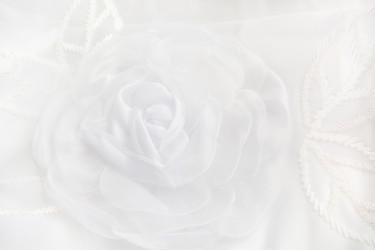 Similar image 16223362