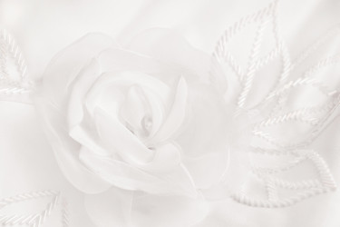 Similar image 16223393