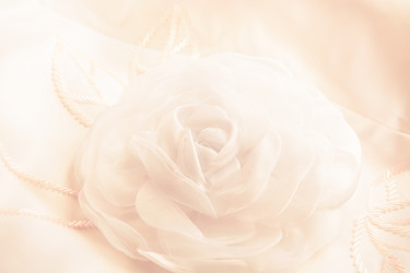 Similar image 16309849