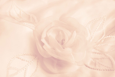 Similar image 16310209