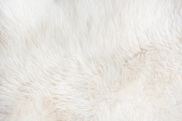 Similar image 15919373