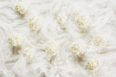 Similar image 16223450