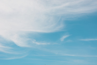 Similar image 16305443