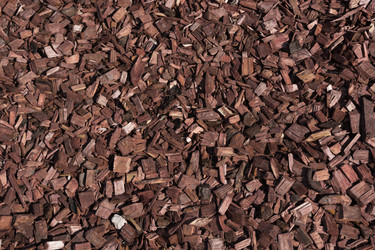 Similar image 16222848