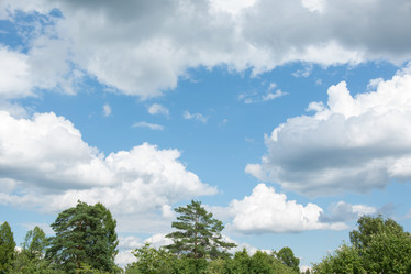 Similar image 16305130