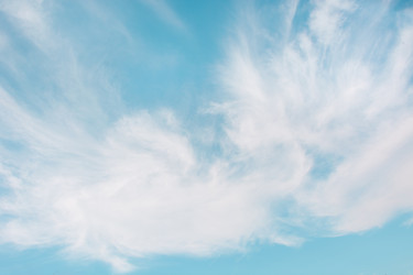 Similar image 16305166