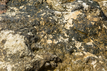 Similar image 15919339