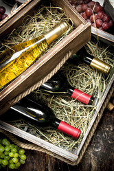 Similar image 15917481