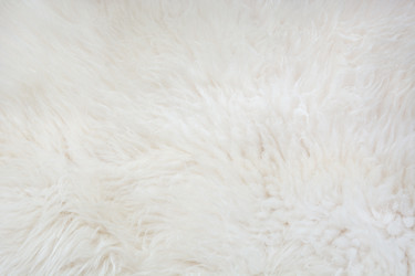 Similar image 16223249