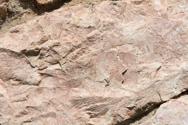 Similar image 16223256