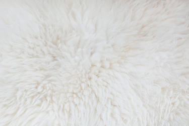 Similar image 16223257