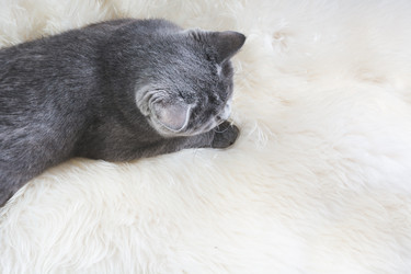 Similar image 16223259