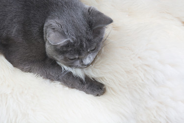 Similar image 16223260