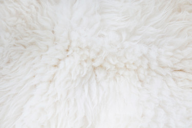 Similar image 16223261