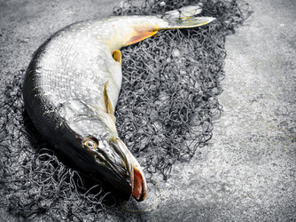 Similar image 15922410