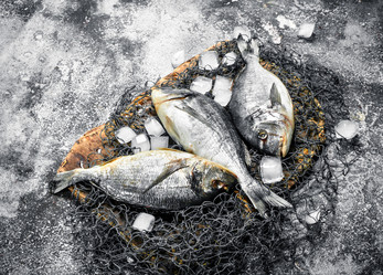 Similar image 15922712