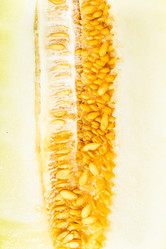 Similar image 15916476