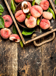 Similar image 15917790