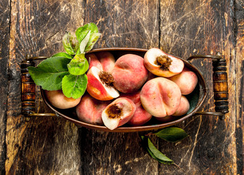 Similar image 15917809