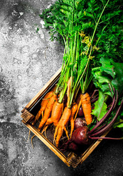 Similar image 15922140