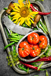 Similar image 15922171