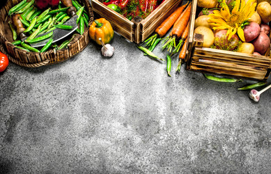 Similar image 15922241